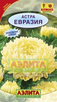 Купить семена Астра "Евразия" однолетние