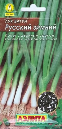 Купить семена Лук батун "Русский зимний"