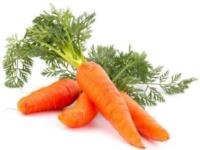 Сорта семян Моркови