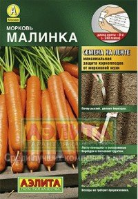 Cемена Морковь "Малинка"