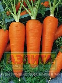 Семена Морковь "Шантене 2461"