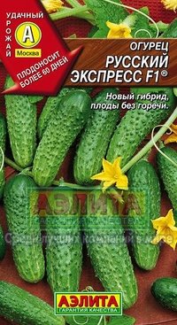 Купить семена Огурец "Русский экспресс F1"