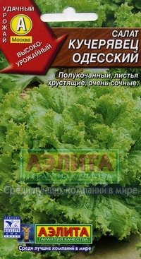 Купить семена Салат "Кучерявец Одесский"