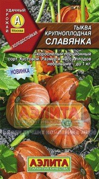 Купить семена Тыква "Славянка"