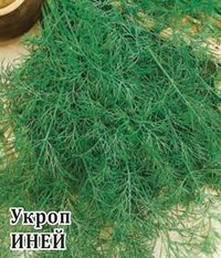 Купить семена Укроп "Иней"