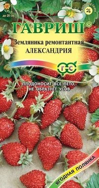 Купить семена Земляника "Александрия"